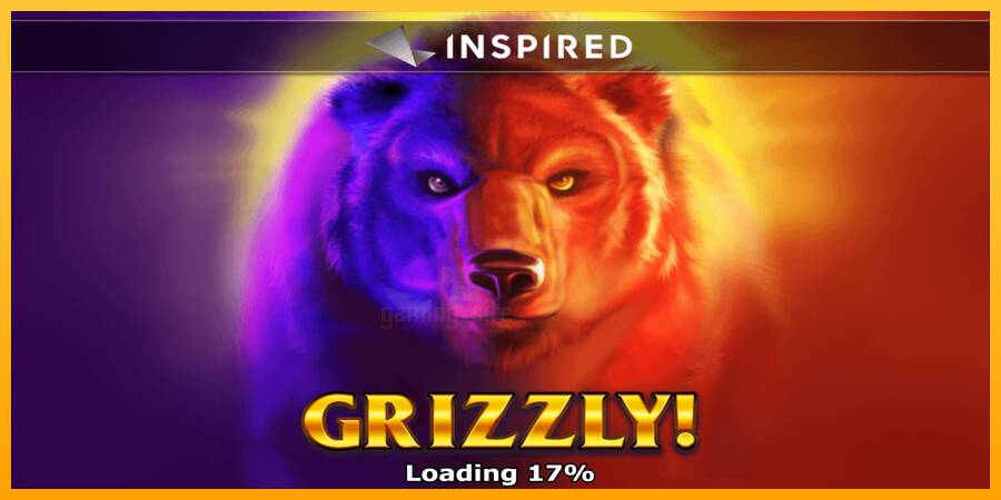 Grizzly gaming machine for money, picture 1