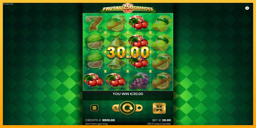 256 Frutas Grandes gaming machine for money, picture 3