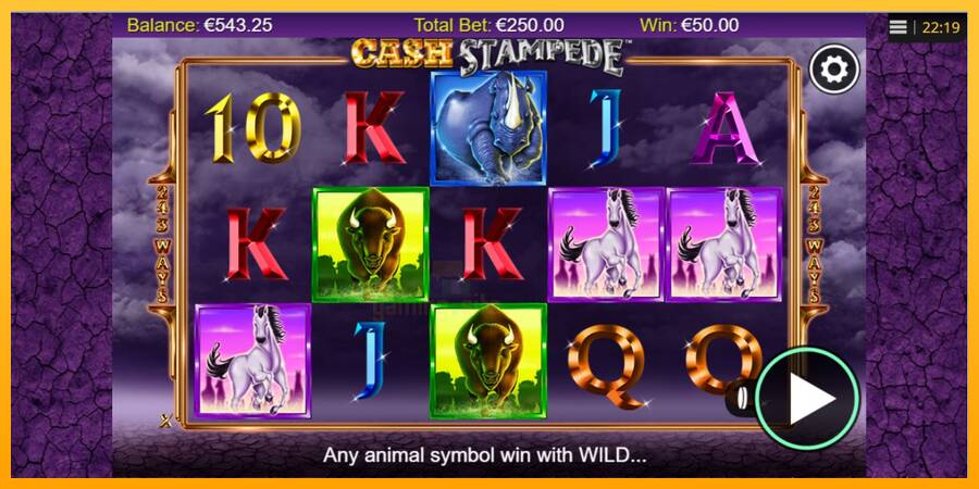 Cash Stampede gaming machine for money, picture 4