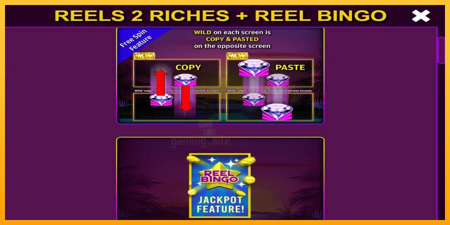 Reels 2 Riches with Reel Bingo gaming machine for money, picture 5