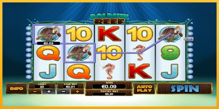 Dolphin Reef gaming machine for money, picture 1