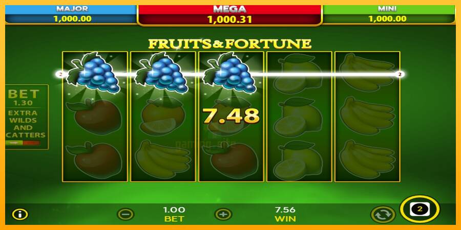 Fruits & Fortune gaming machine for money, picture 5