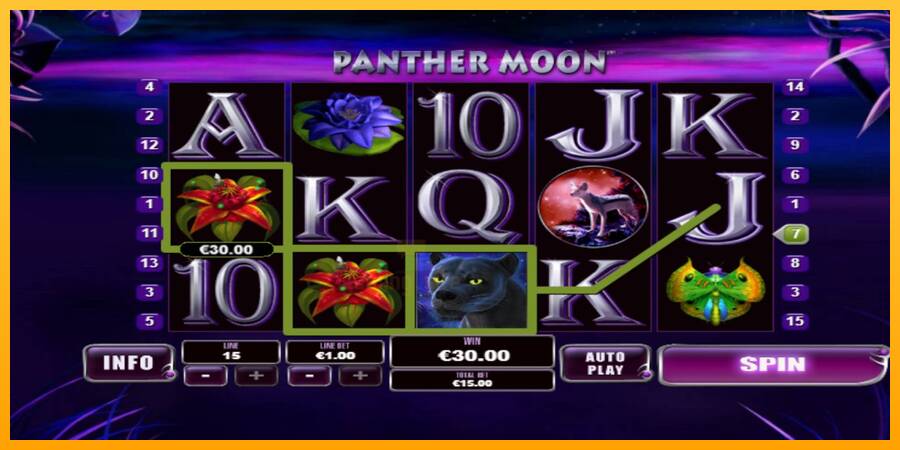 Panther Moon gaming machine for money, picture 2