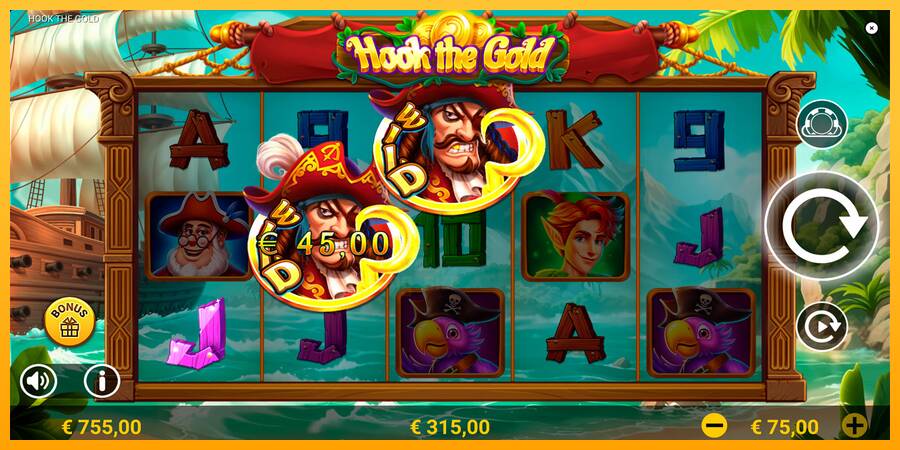 Hook The Gold gaming machine for money, picture 3