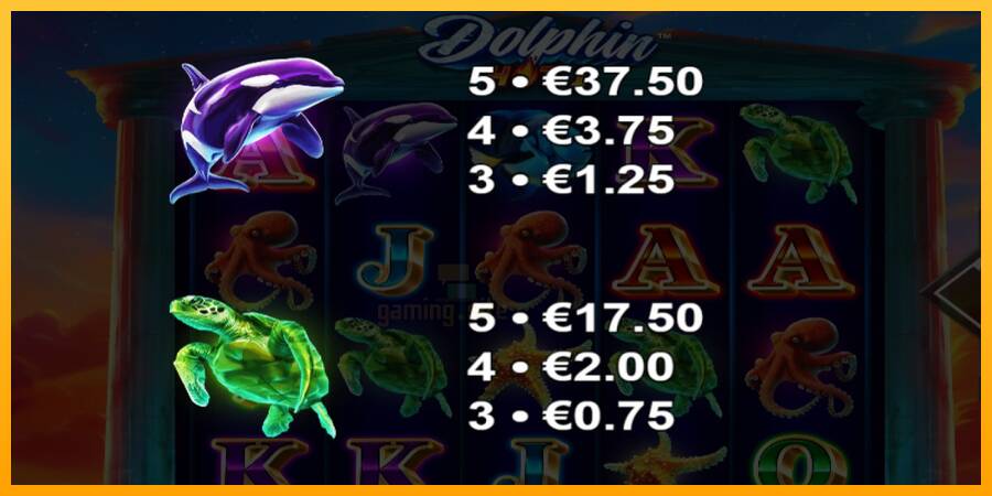 Dolphin Hot 1 gaming machine for money, picture 4