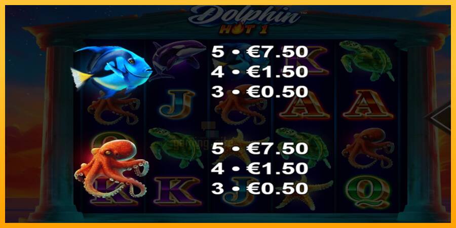 Dolphin Hot 1 gaming machine for money, picture 5