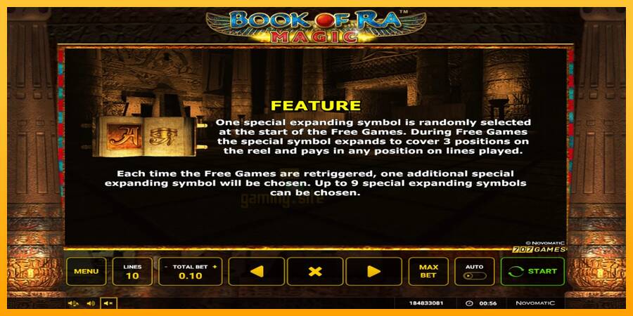 Book of Ra Magic gaming machine for money, picture 5