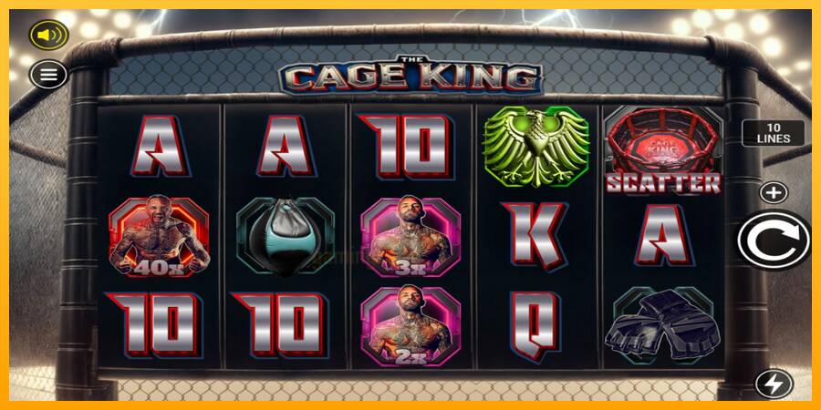 The Cage King gaming machine for money, picture 1