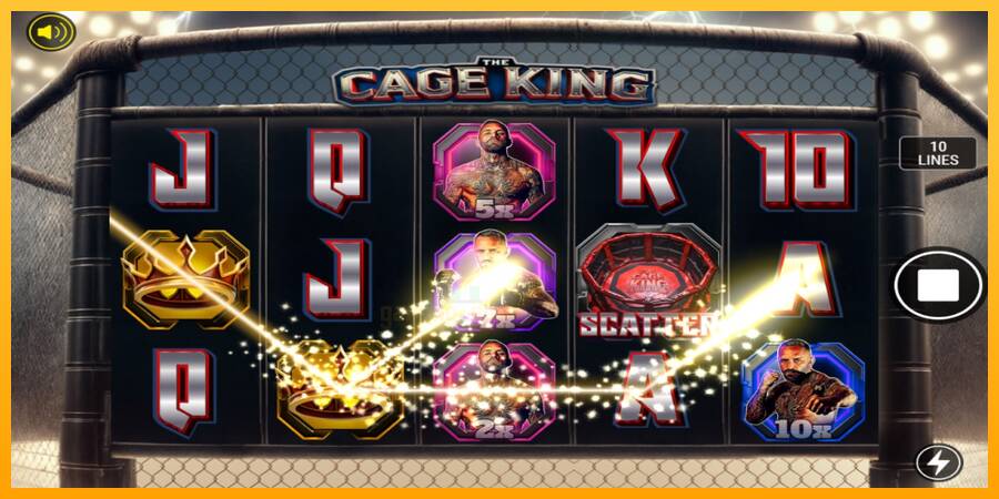 The Cage King gaming machine for money, picture 2