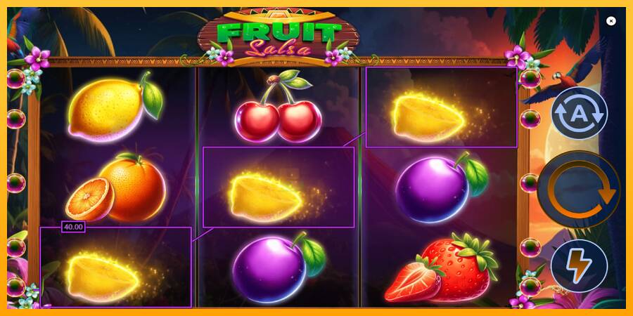 Fruit Salsa gaming machine for money, picture 4