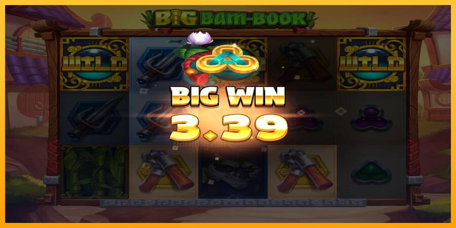 Big Bam-Book gaming machine for money, picture 3