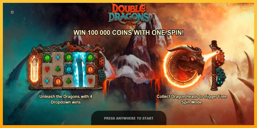 Double Dragons gaming machine for money, picture 1