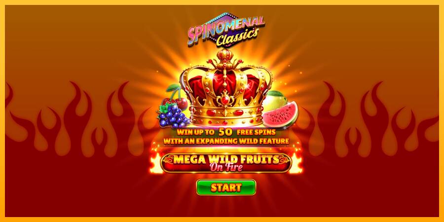 Mega Wild Fruits - On Fire gaming machine for money, picture 1