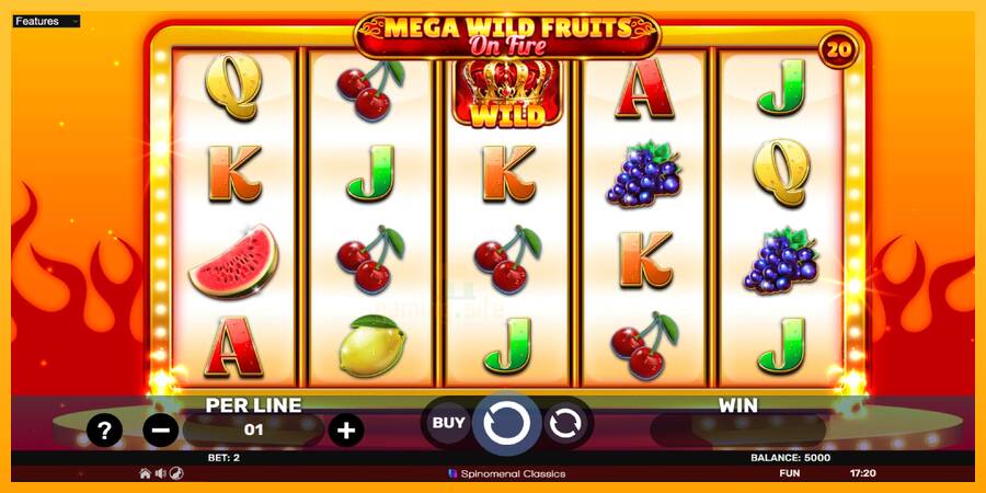 Mega Wild Fruits - On Fire gaming machine for money, picture 2