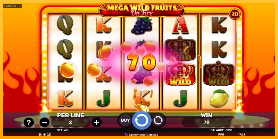 Mega Wild Fruits - On Fire gaming machine for money, picture 4