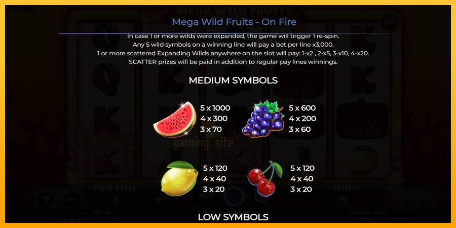 Mega Wild Fruits - On Fire gaming machine for money, picture 6