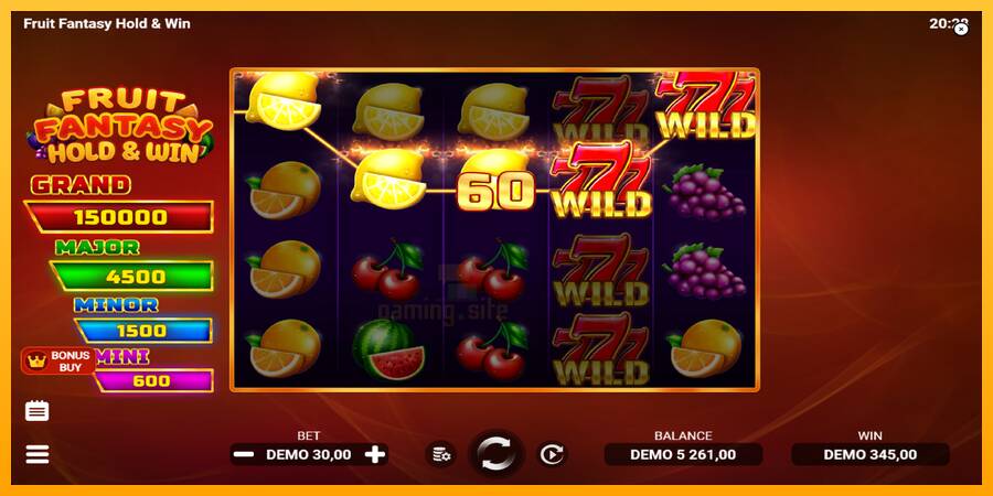 Fruit Fantasy Hold & Win gaming machine for money, picture 4