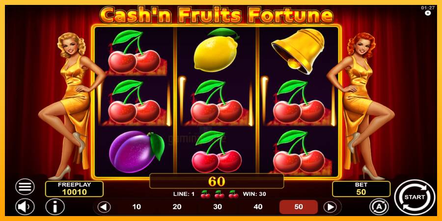 Cashn Fruits Fortune gaming machine for money, picture 3