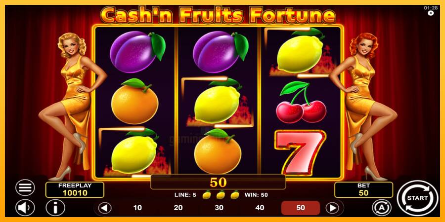 Cashn Fruits Fortune gaming machine for money, picture 4