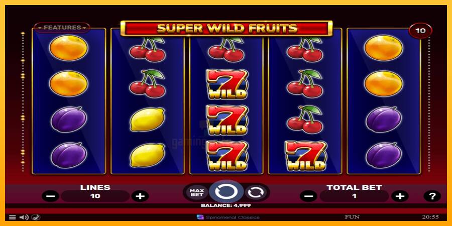 Super Wild Fruits gaming machine for money, picture 1