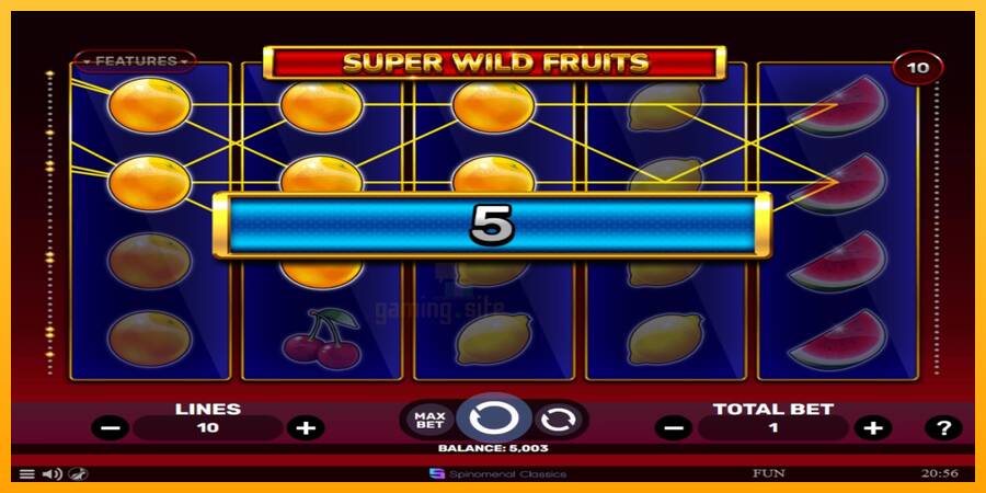 Super Wild Fruits gaming machine for money, picture 2