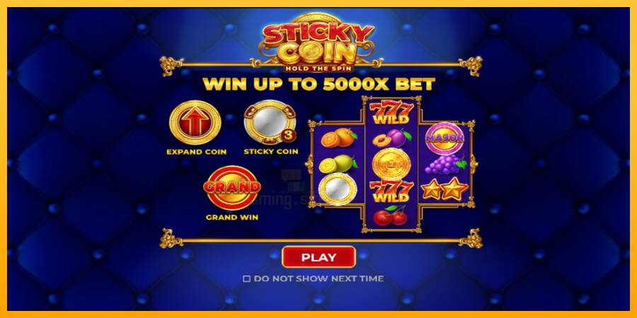 Sticky Coin: Hold the Spin gaming machine for money, picture 1