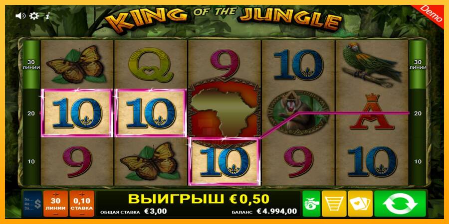 King of the Jungle gaming machine for money, picture 2