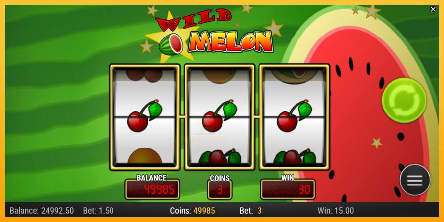 Wild Melon gaming machine for money, picture 3