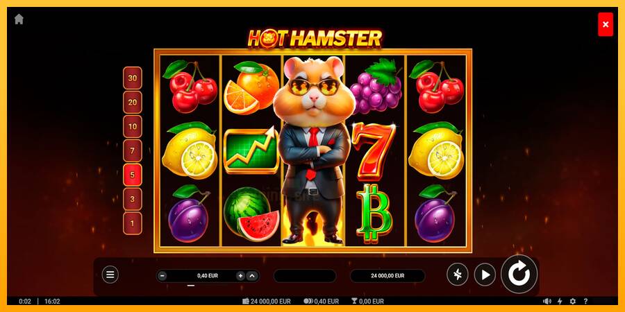 Hot Hamster gaming machine for money, picture 1