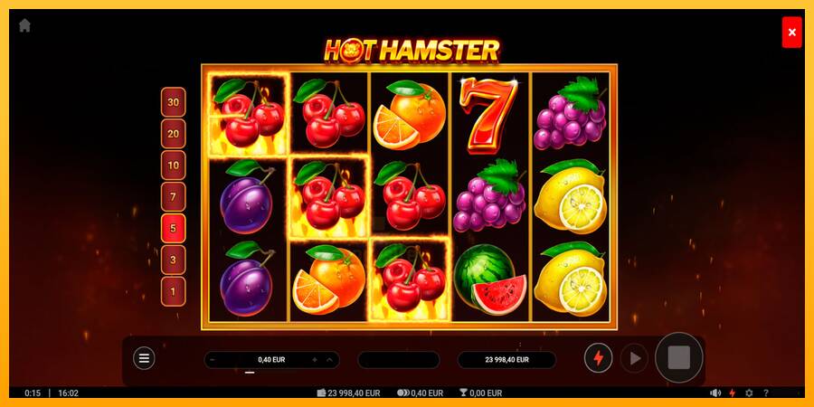 Hot Hamster gaming machine for money, picture 2