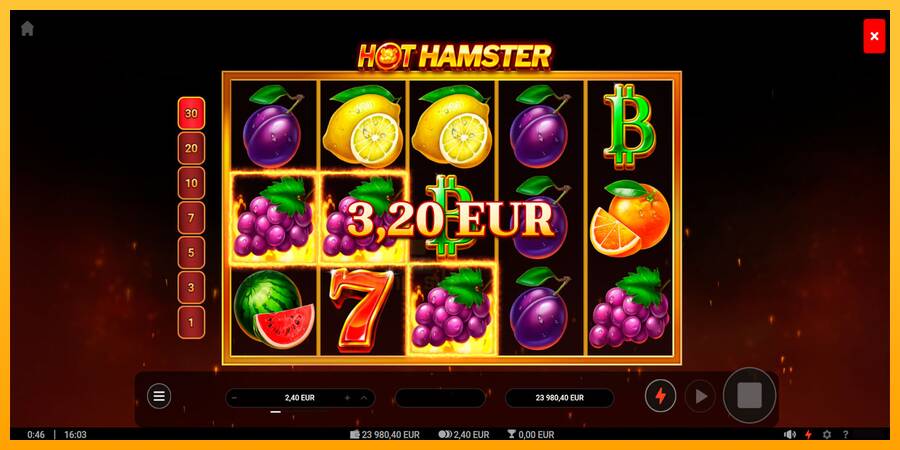 Hot Hamster gaming machine for money, picture 3