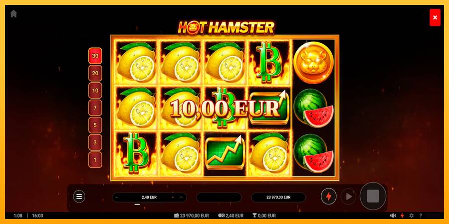 Hot Hamster gaming machine for money, picture 4