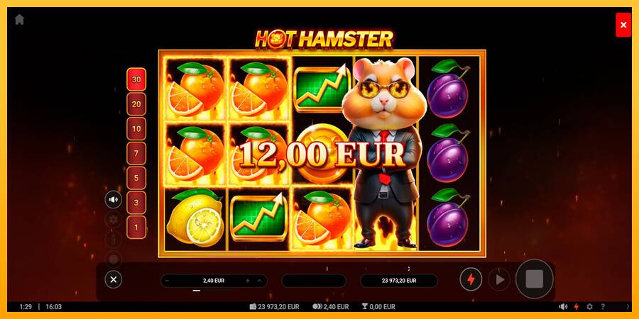 Hot Hamster gaming machine for money, picture 5