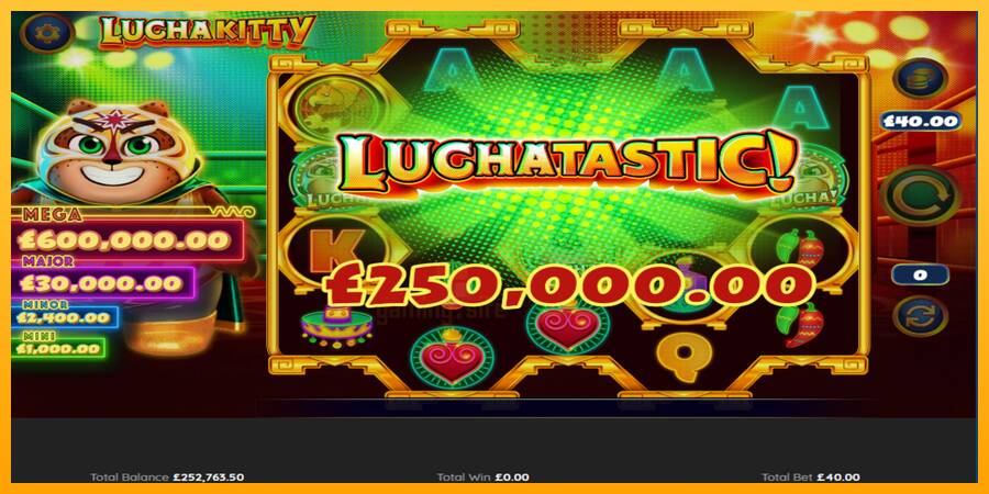 Lucha Kitty gaming machine for money, picture 4