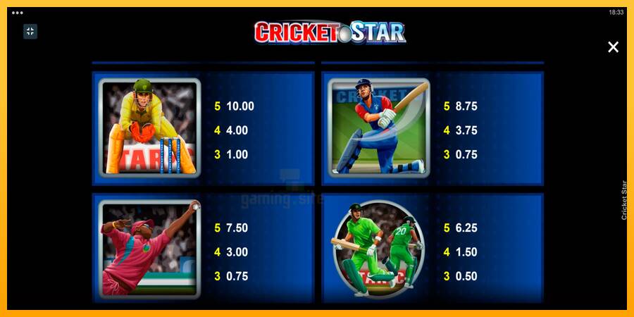 Cricket Star gaming machine for money, picture 4