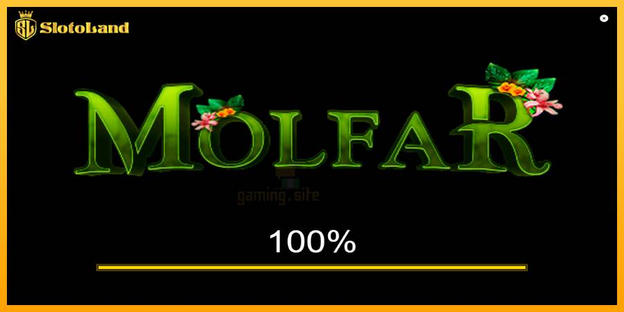 Molfar gaming machine for money, picture 1