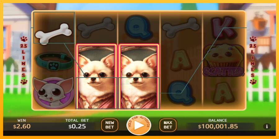 Chihuahua Party gaming machine for money, picture 3