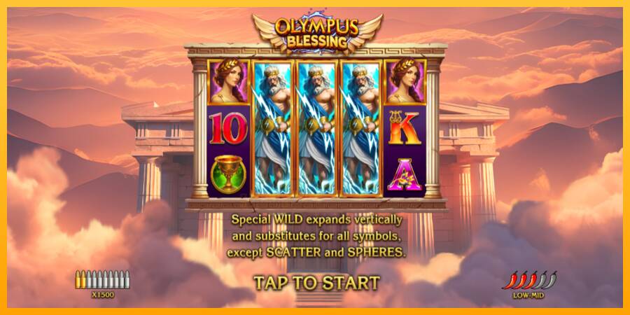 Olympus Blessing gaming machine for money, picture 1