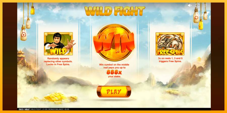 Wild Fight gaming machine for money, picture 1