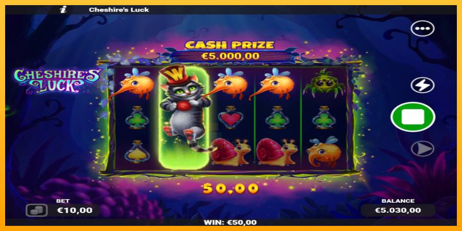 Cheshires Luck gaming machine for money, picture 3