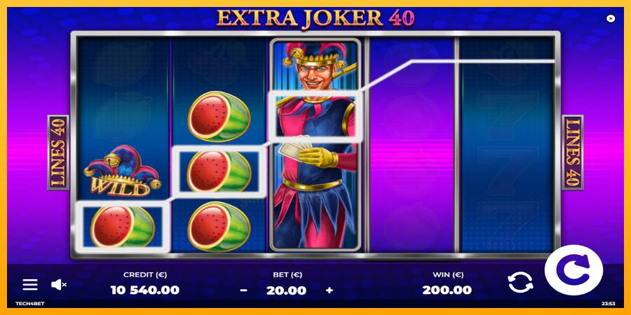 Extra Joker 40 gaming machine for money, picture 3