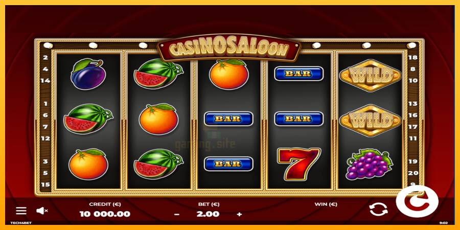 Casino Saloon gaming machine for money, picture 1