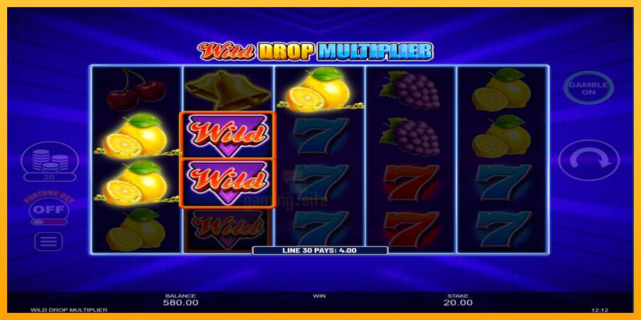 Wild Drop Multiplier gaming machine for money, picture 3