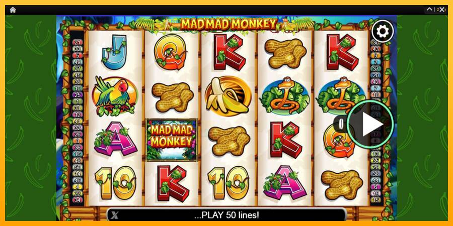 Mad Mad Monkey gaming machine for money, picture 1