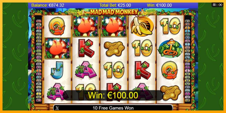 Mad Mad Monkey gaming machine for money, picture 3