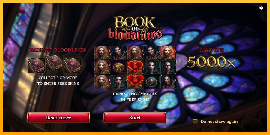 Book of Bloodlines gaming machine for money, picture 1