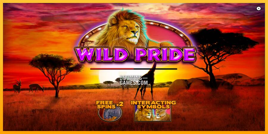 Wild Pride gaming machine for money, picture 1