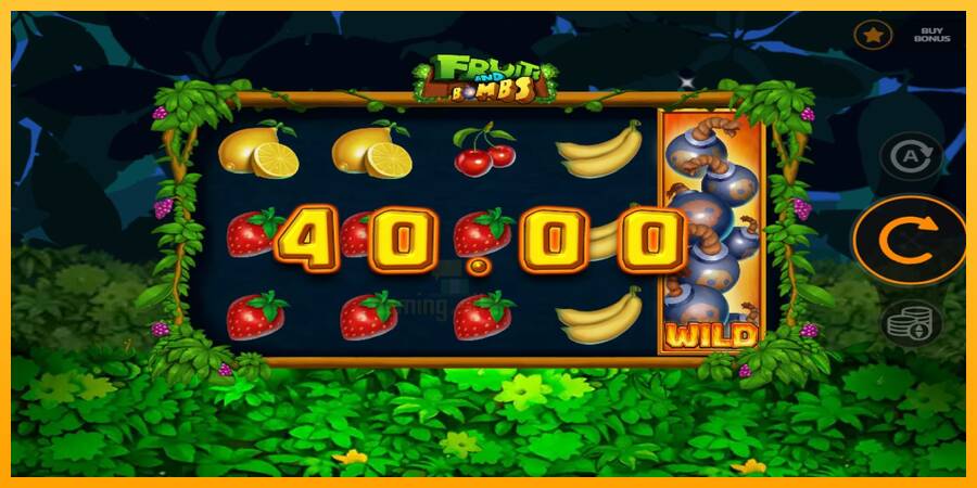 Fruits and Bombs gaming machine for money, picture 4