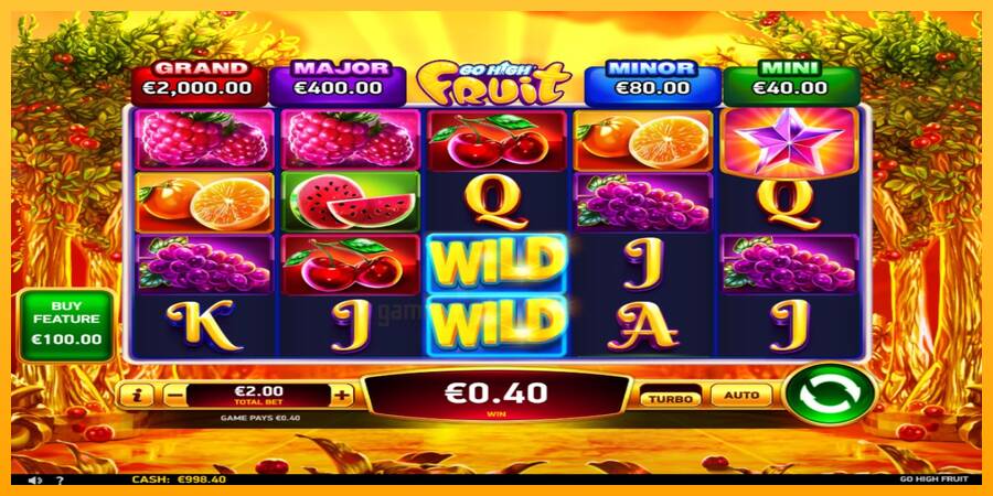 Go High Fruit gaming machine for money, picture 3