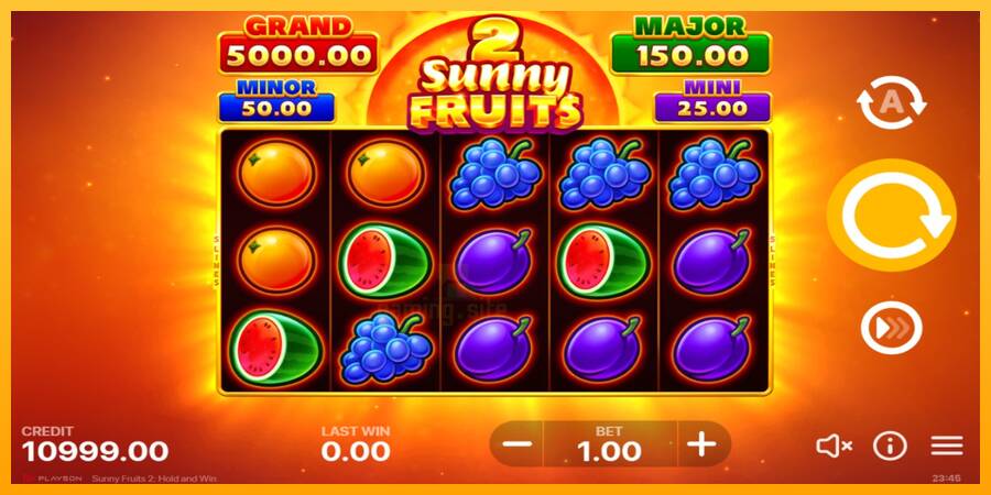 Sunny Fruits 2: Hold and Win gaming machine for money, picture 2